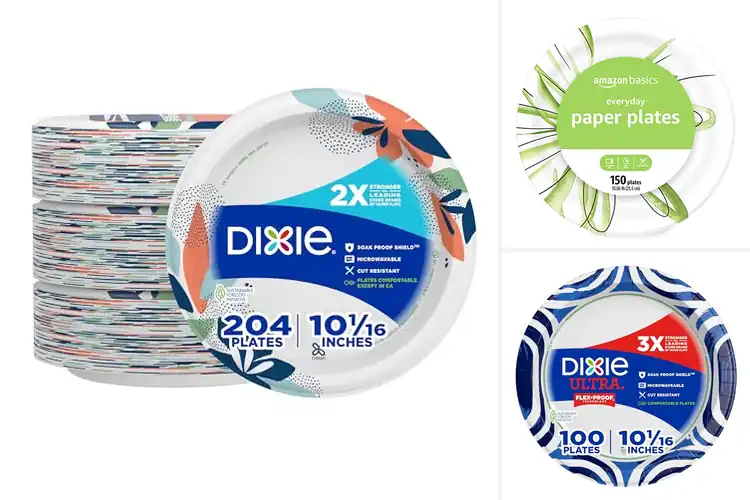 Detailed view of 10 Best 10 Inch Large Paper Plates for Sturdy Party Service