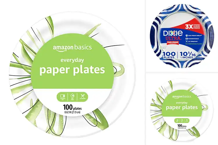 Detailed view of 10 Best 100 Count Paper Plates for Every Occasion