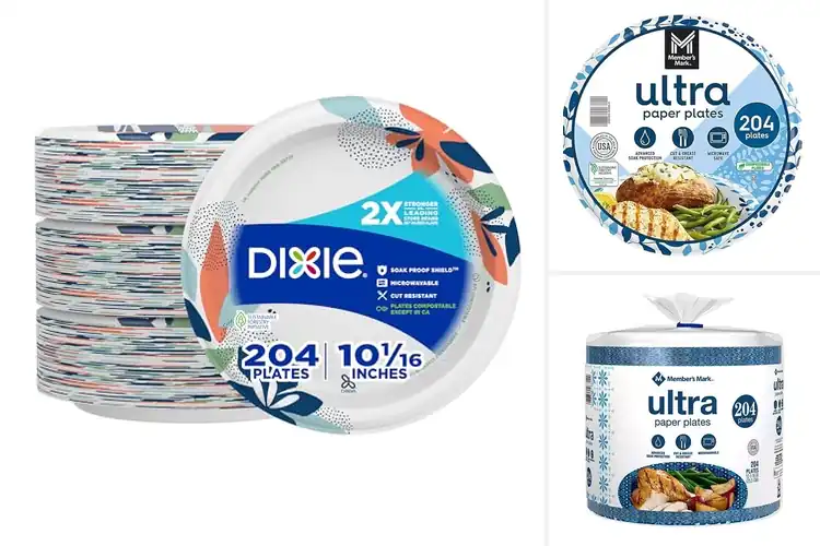 Detailed view of 10 Best 204-Count Disposable Plates for Eco-Friendly Dining