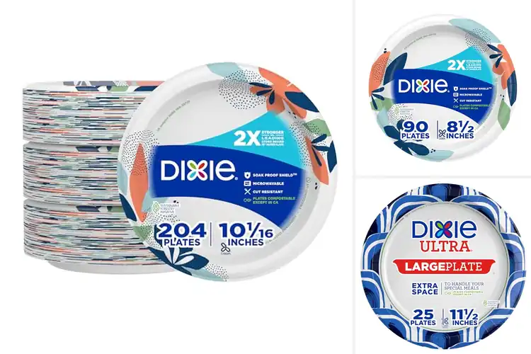 Detailed view of 10 Best 2X Stronger Disposable Plates for Ultimate Durability