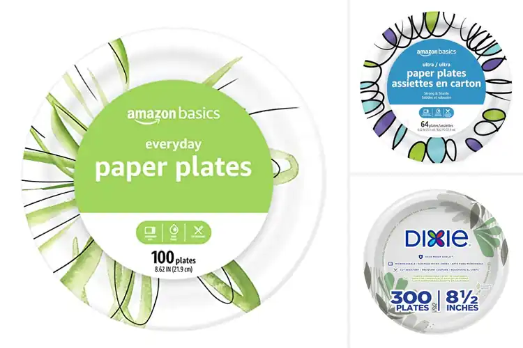 Detailed view of 4 Best 8.62 Inch Paper Plates Stay Strong