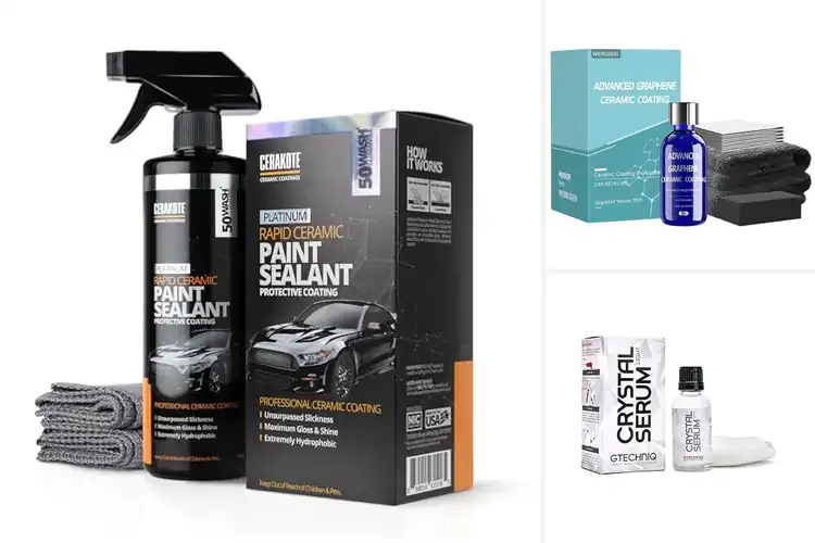 Detailed view of Best Ceramic Coatings