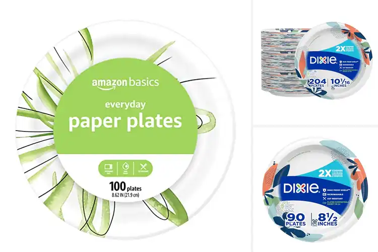 Detailed view of 10 Best Disposable Paper Plates That Truly Hold Up Strong