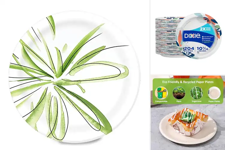 Detailed view of 10 Best Disposable Plates for Easy Meals