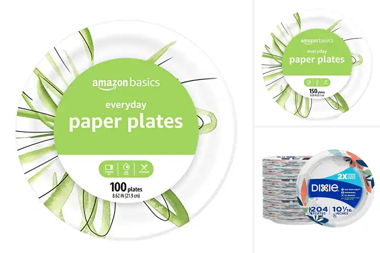Detailed view of 10 Best Everyday Paper Plates for Easy, Mess-Free Meals