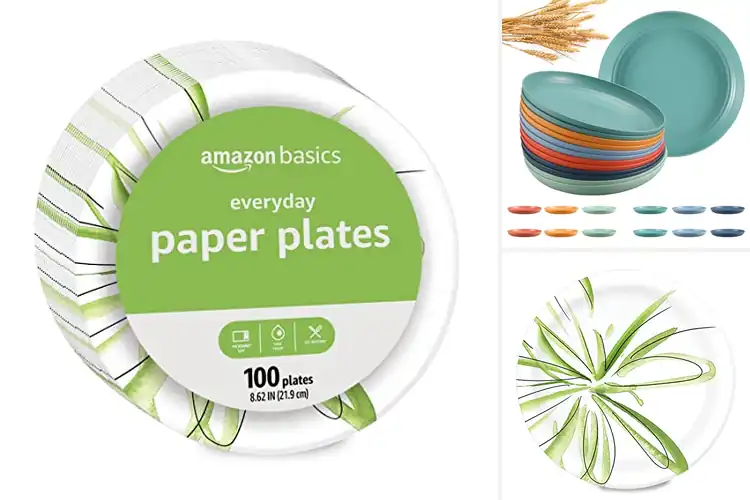 Detailed view of 10 Best Everyday Plates for Durable, Stylish Meals