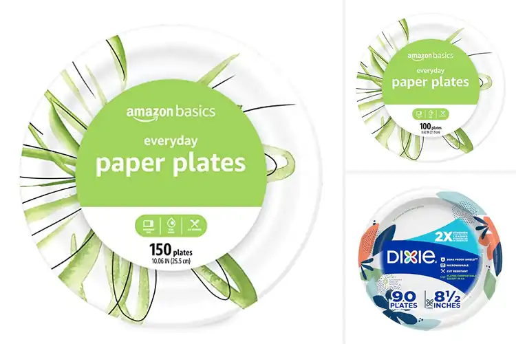 Detailed view of 10 Best Everyday Use Disposable Plates for Effortless Meals