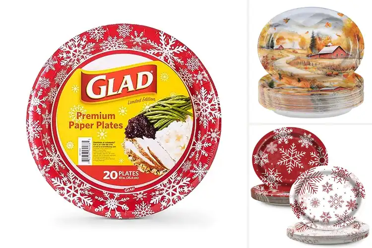 Detailed view of 10 Best Holiday Paper Plates for Stylish and Easy Meals