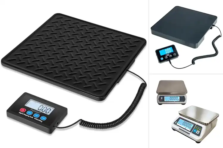 Detailed view of 10 Best Large LCD Readability Scales for Precise Weighing