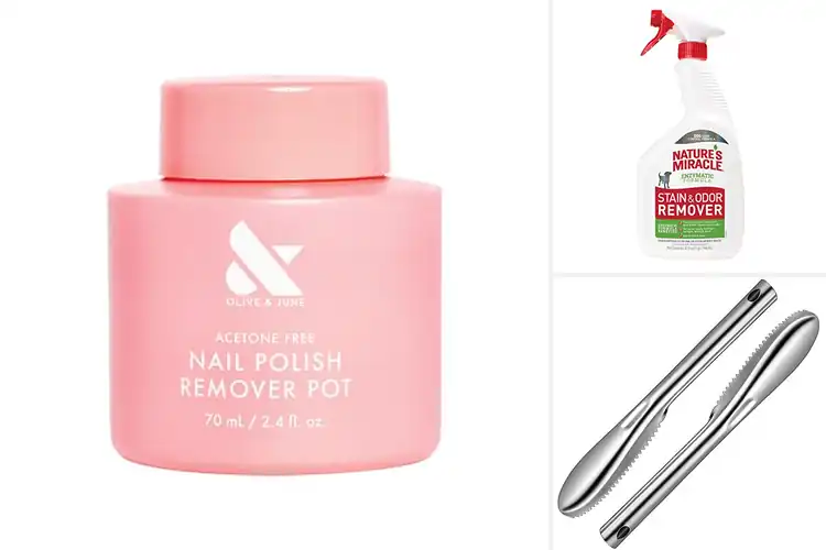 Detailed view of 10 Best Mess Removers for Effortless Stain Removal