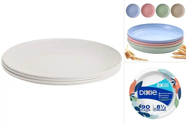 Detailed view of 10 Best Microwavable Plates: Never Warp or Crack Again