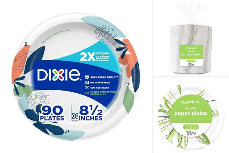 Detailed view of 10 Best Microwave Safe Paper Plates That Won’t Leak or Warp