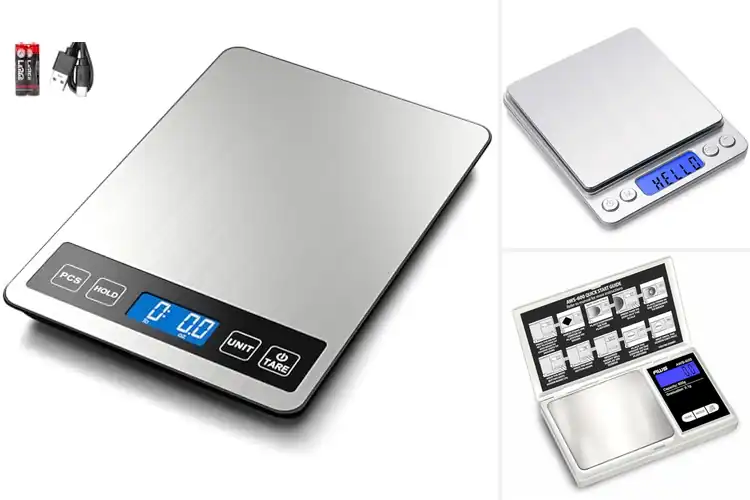 Detailed view of 10 Best Multi-Unit Digital Scales for Precise Weighing