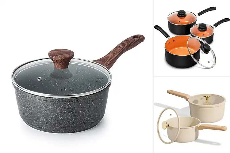 Detailed view of Best Nonstick Pots