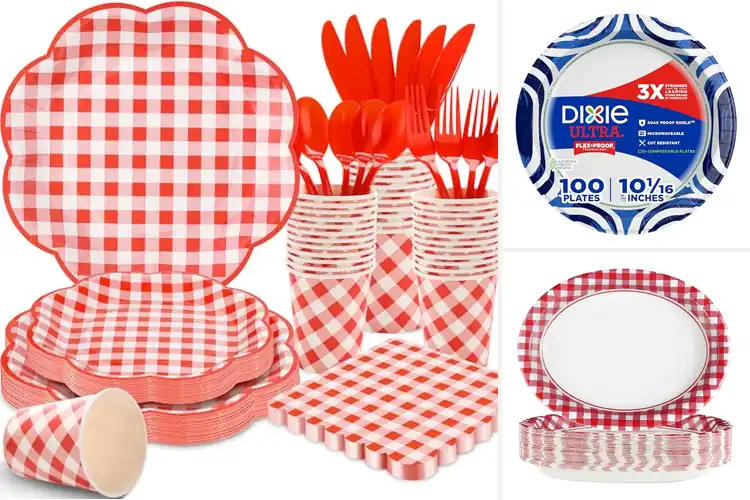 Detailed view of 10 Best Picnic Paper Plates for Mess-Free Outdoor Meals