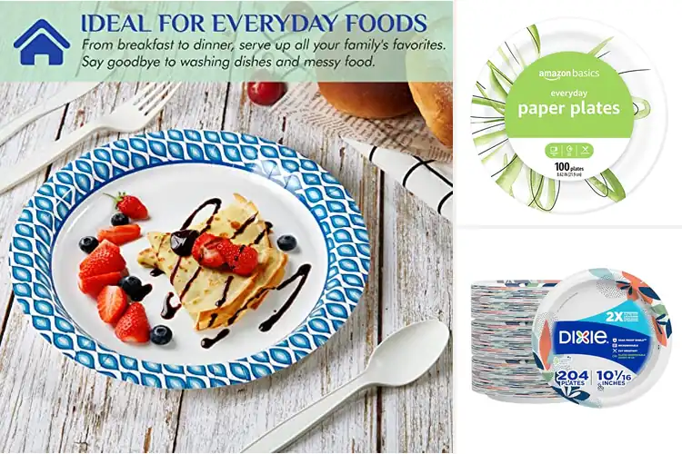 Detailed view of 10 Best Picnic Plates for Hassle-Free Feasts