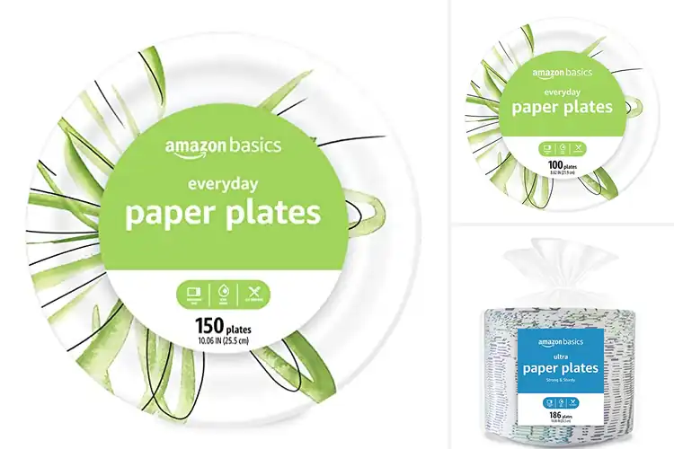 Detailed view of 10 Best SFI Certified Paper Plates for Sturdy, Leak-Free Meals