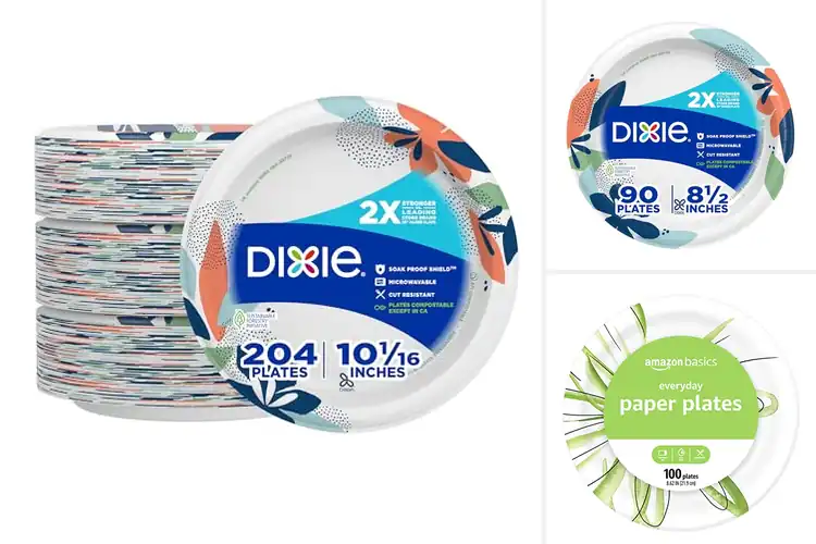 Detailed view of 10 Best Soak Proof Paper Plates for Mess-Free Meals