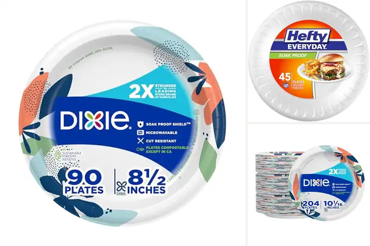 Detailed view of 10 Best Soak Proof Plates: Hassle-Free Meals & Fast Cleanup