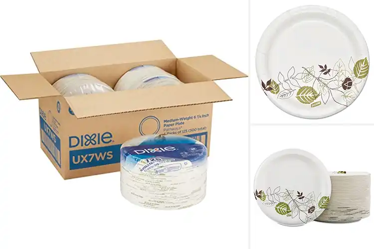 Detailed view of 10 Best Soak-Proof Shield Paper Plates: Sturdy & Grease-Free