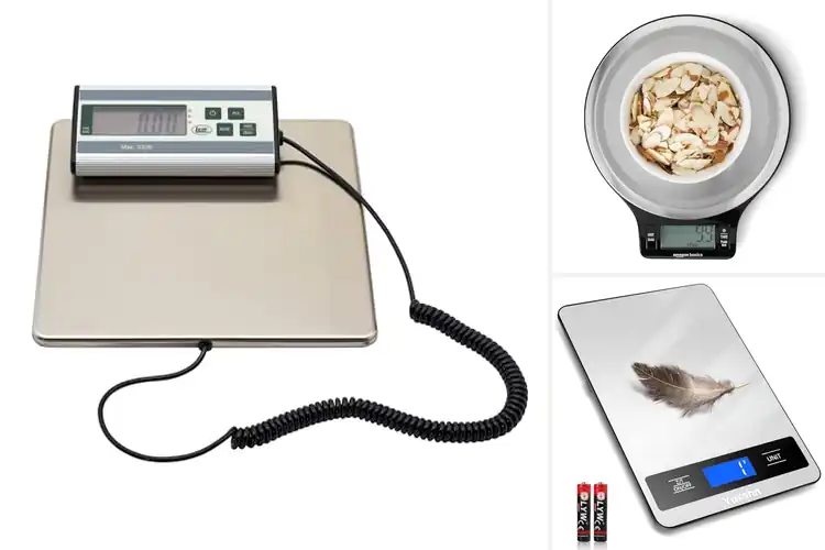 Detailed view of 10 Best Stainless Steel Digital Scales